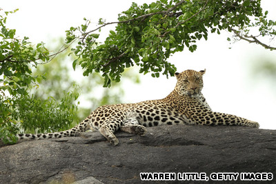 10 khu bảo tồn hoang d&atilde; đẹp nhất ch&acirc;u Phi